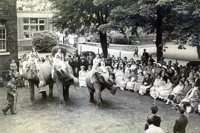 Circus elephants Chipperfields Circus at St Mary's Hospital, Milton in 1952.A young boy patient sent a letter to Chipperfields located on Southsea Common, telling them that he could not come, but could they come to him. Amazingly, they did. Some animals even went into the wards for the children to see.