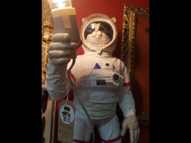 Moon cat at Head Case Curios