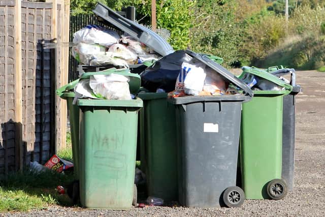 East Hampshire District Council has suspended bin collection today.