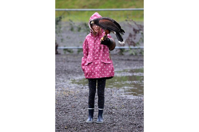 Pictured is Natasha Hale, 8, (nearly 9) catching a bird.
Picture: Sam Stephenson.