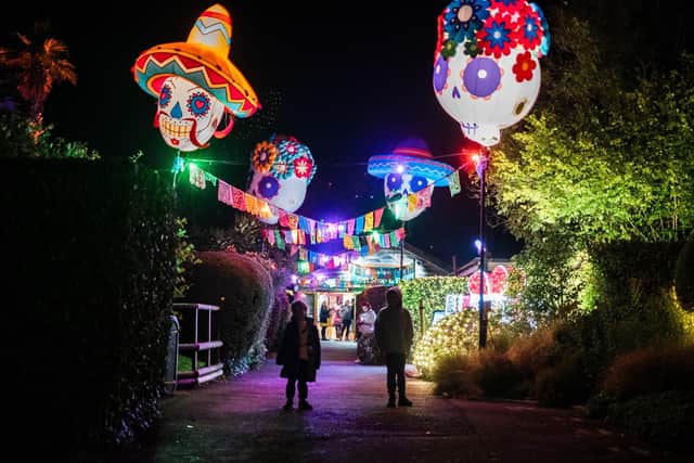 Are you looking for a great holiday destination and Hallowe’en fun this October half term? Picture by S43Photography