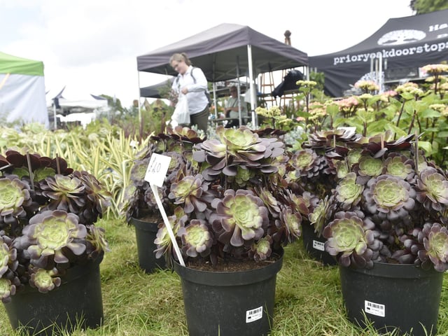 The Garden Show at Stansted Park near Rowlands Castle took place on Friday, June 7, 2024.
Picture: Sarah Standing (070624-4365)