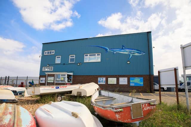 Street artist ATM also painted a 10-metre-long thresher shark at the Langstone Harbour Office on Hayling Island. Picture: Siân Addison.