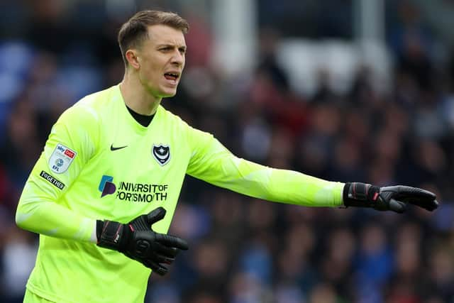 Luton loanee Matt Macey has impressed since his arrival at Fratton Park. Picture: Catherine Ivill/Getty Images