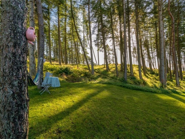 Woodland.