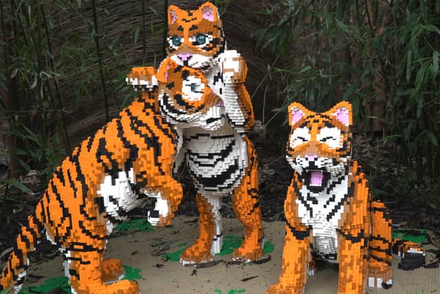 Shoppers will also get the chance to enter competitions, with a £500 big cat experience as the top prize.