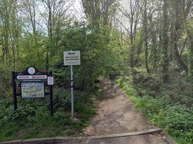 Brook Meadow is a lovely place to walk with your furry friends.