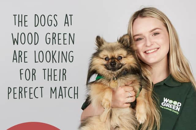 The Dog House is looking for people to apply for a new series. Picture: Channel 4
