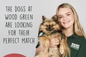 The Dog House is looking for people to apply for a new series. Picture: Channel 4