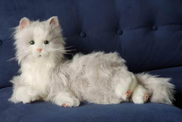 Robot cat