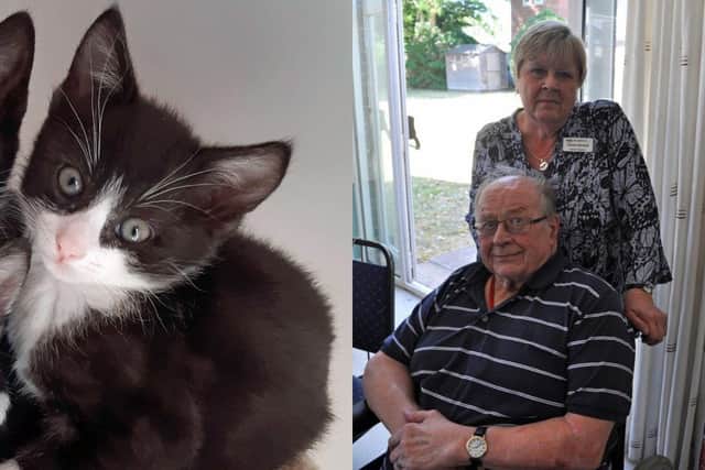 A Gosport group of cat welfare volunteers has recognised the sad passing of its ‘secret founder’ by naming a recently-rescued kitten in his honour.
Pictured: (left image) Alec the kitten and (right) Alec Alexander and Debbie Marshall.