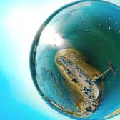 A globe photograph taken 200ft over Langstone harbour near the Hayling ferry Picture: Kevin Fryer
