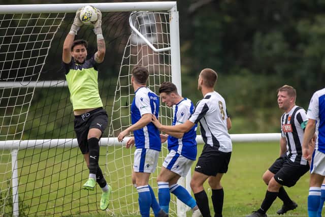 Denmead keeper Chris Clark impressed during his side's win against Fleetlands.