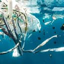 8 million metric tons of plastic waste enter the oceans each year
