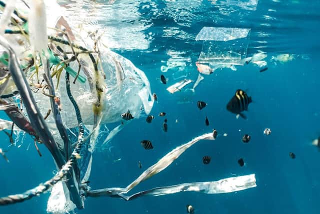 8 million metric tons of plastic waste enter the oceans each year