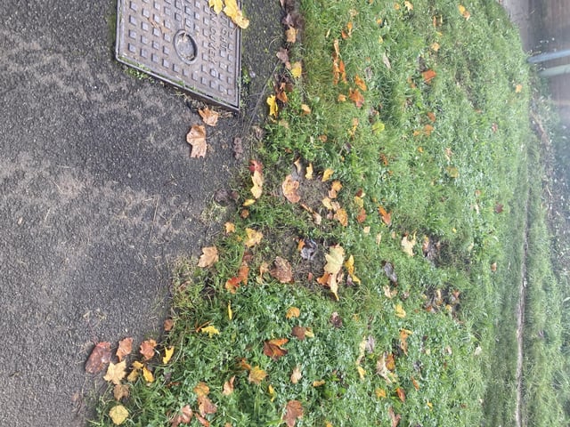 Fatal crash scene from Harwood Close in Gosport where a man died on October 17