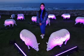 Illuminated sheep art work at Bamburgh with artist Deepa Mann-Kler
 (photo: Raoul Dixon)