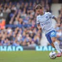 Adrian Segecic during Pompey's 2-1 defeat at Ipswich. Picture: Jez Tighe/ProSportsImages