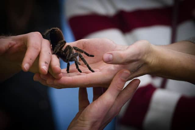 Definitely not Steve’s hands in the picture.  Picture: Peter Steffen / dpa / AFP, via Getty Images .