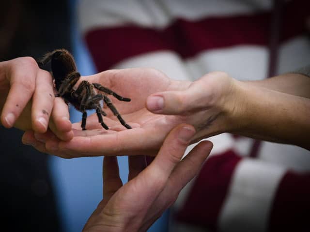 Definitely not Steve’s hands in the picture.  Picture: Peter Steffen / dpa / AFP, via Getty Images .