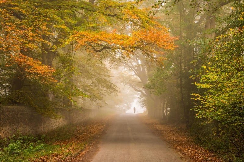 Autumn category: Cycling through autumn by Emma Varley