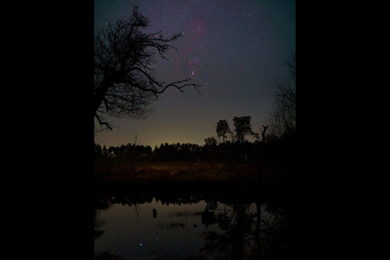 Orion over Black Pond by Steve Geliot