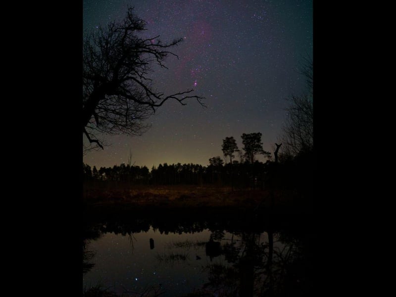 Orion over Black Pond by Steve Geliot