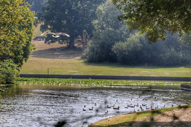 Staunton Country Park, on Middle Park Way, has a rating of 4.6 out of five from 2,037 reviews on Google.