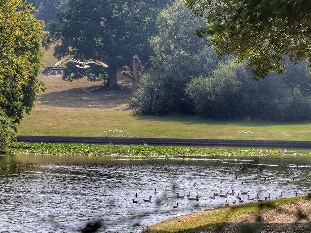Staunton Country Park, on Middle Park Way, has a rating of 4.6 out of five from 2,037 reviews on Google.