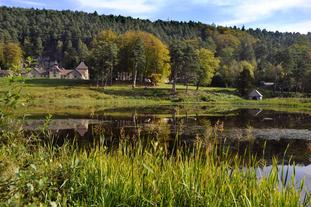 Set within the grounds of Cragside – a beautiful Victorian house – this route is great for seeing the sights with your beloved four-legged hound by your side.

Why your dog will love this: With water to splash in, trees to sniff and plenty of fresh air, this walk will certainly set tails wagging. It's short distance makes it great for little legs and smaller paws too.

Terrain: Waterside track over gravel and boardwalk with a few steps.

Difficulty: 🐕🐕

Distance: 2 miles

Ideal for: Nature lovers – this route is great for taking in Northumberland’s flora and fauna.

In addition: Parking and café at the main house; toilets at the visitor’s centre.