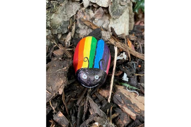 Frankie Cameron and her daughter Grace have been painting rocks to brighten up people's walks around city parks.
