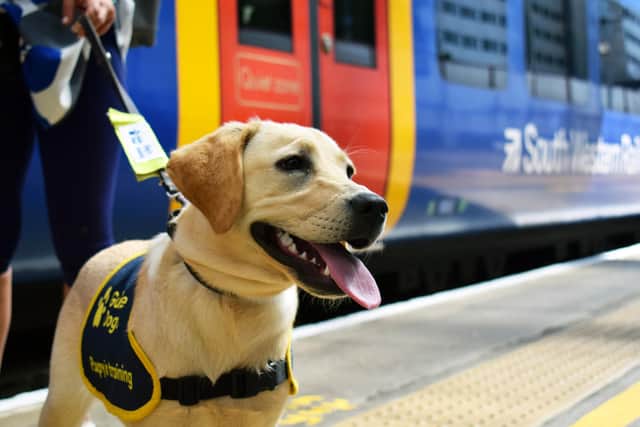 South Western Railway (SWR) and Guide Dogs have together hosted a training session for puppies at the operator’s Portsmouth and Southsea station.