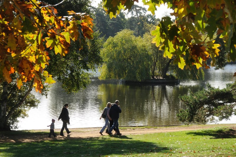 With its accessible paths around the Heath Pond, playground and cafe situated right next to the heath itself, Petersfield Heath is a great place to visit this autumn. Just make sure you bring food for the ducks and geese!
Picture: Anne Purkiss