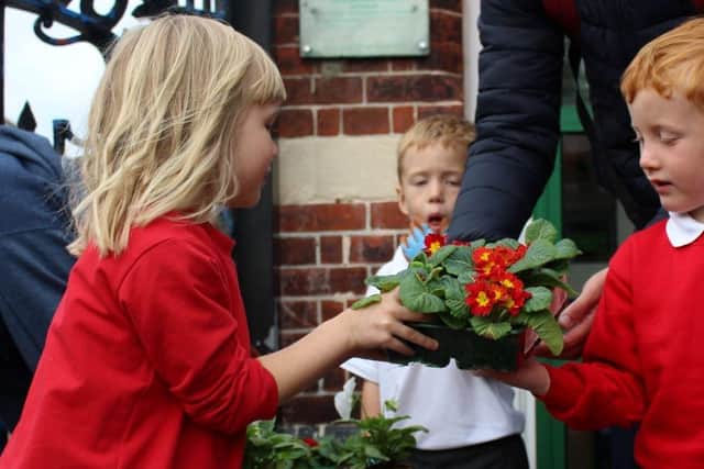 Students at Cumberland Infant School in Southsea have raised enough money for their rewilding project