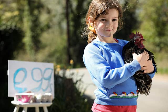 Lowri Gilraine, six, sells the eggs from her chickens at the gate to buy feed. Her honesty box has been stolen
Picture: Chris Moorhouse (jpns 250421-54)