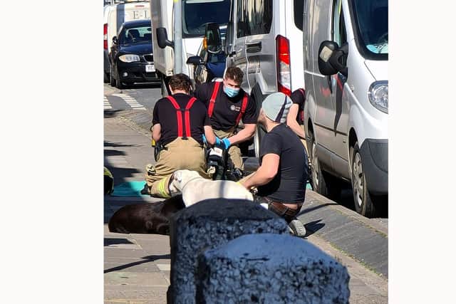 Two dogs had to be rescued by firefighters from a property fire on Prince Albert Road in Southsea