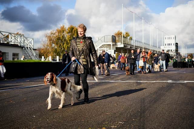 Goodwoof launches the the Big Dog Walk to raise money for Pets As Therapy, the official charity for Goodwoof 2023.