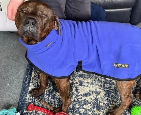 Bailey was found 'emaciated' in a locked bathroom, with only water from the toilet to drink.