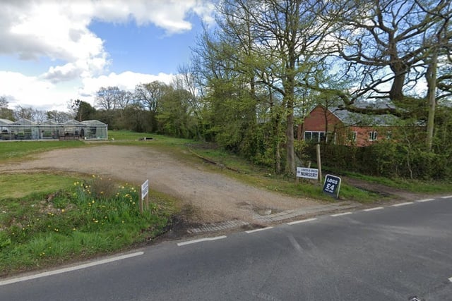 Lincoln Green Nursery, Denmead, has a Google rating of 4.8 with 17 reviews.