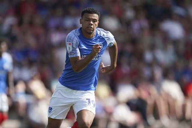Pompey's on-loan Spurs striker Dan Scarlett    Picture: Jason Brown