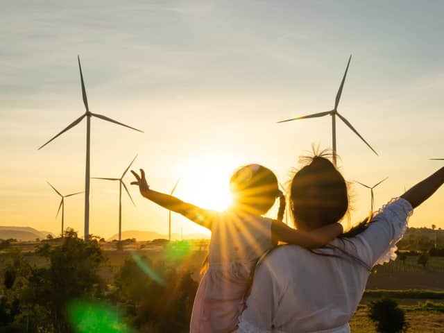 Wind turbines are alternative electricity sources