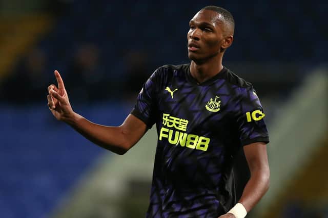 Former Pompey triallist Ludwig Francillette has joined Crawley.  Picture: Charlotte Tattersall/Getty Images