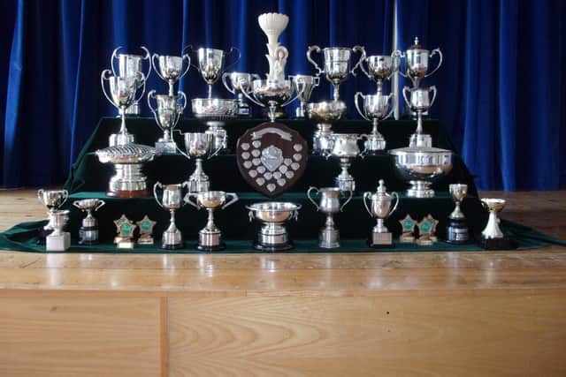 Winner's Cups - Who will Win Next Year?