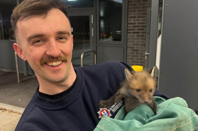 A baby fox separated from its mum has been found and handed in to Cosham Fire Station, before being passed on to the Second Chance Fox Rescue and Rehabilitation.