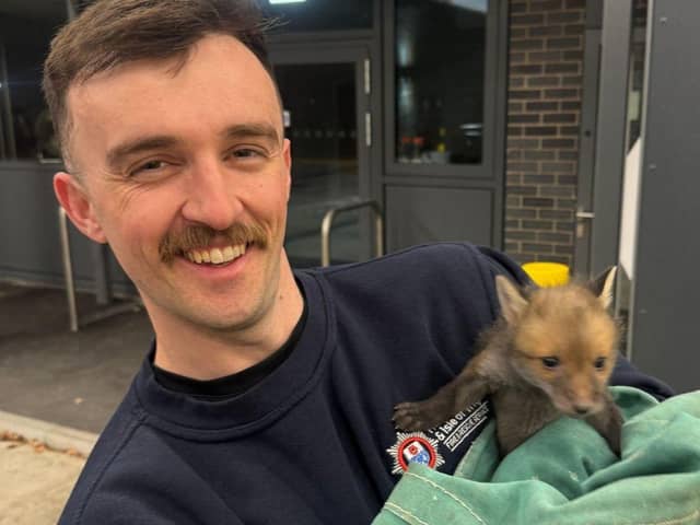 A baby fox separated from its mum has been found and handed in to Cosham Fire Station, before being passed on to the Second Chance Fox Rescue and Rehabilitation.