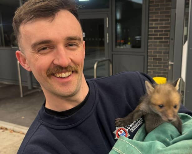A baby fox separated from its mum has been found and handed in to Cosham Fire Station, before being passed on to the Second Chance Fox Rescue and Rehabilitation.
