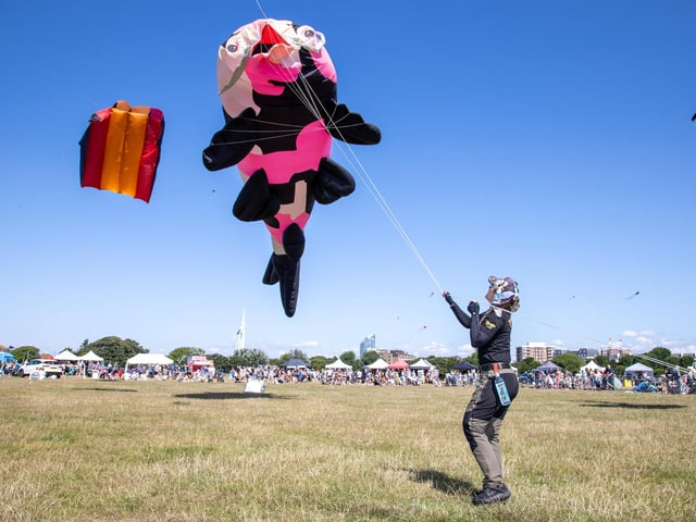 Pictured - Incredible kites on display at the Portsmouth Kite FestivalPhotos by Alex Shute