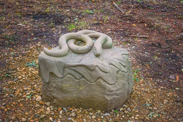 Resting Reptiles at Woolbeding.