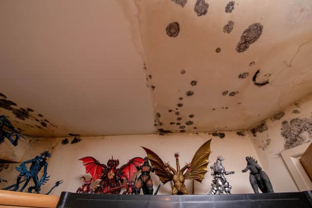Portsmouth central apartment block, Windsor House, is in a dire state.

Pictured: excessive mould in one of the apartment bedrooms


Picture: Habibur Rahman