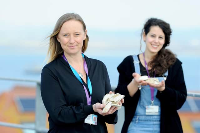 Dr Joanne Preston, left, and PHD student Monica Fabra.
Picture: Sarah Standing (220321-2520)